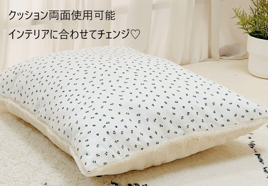 猫 子猫