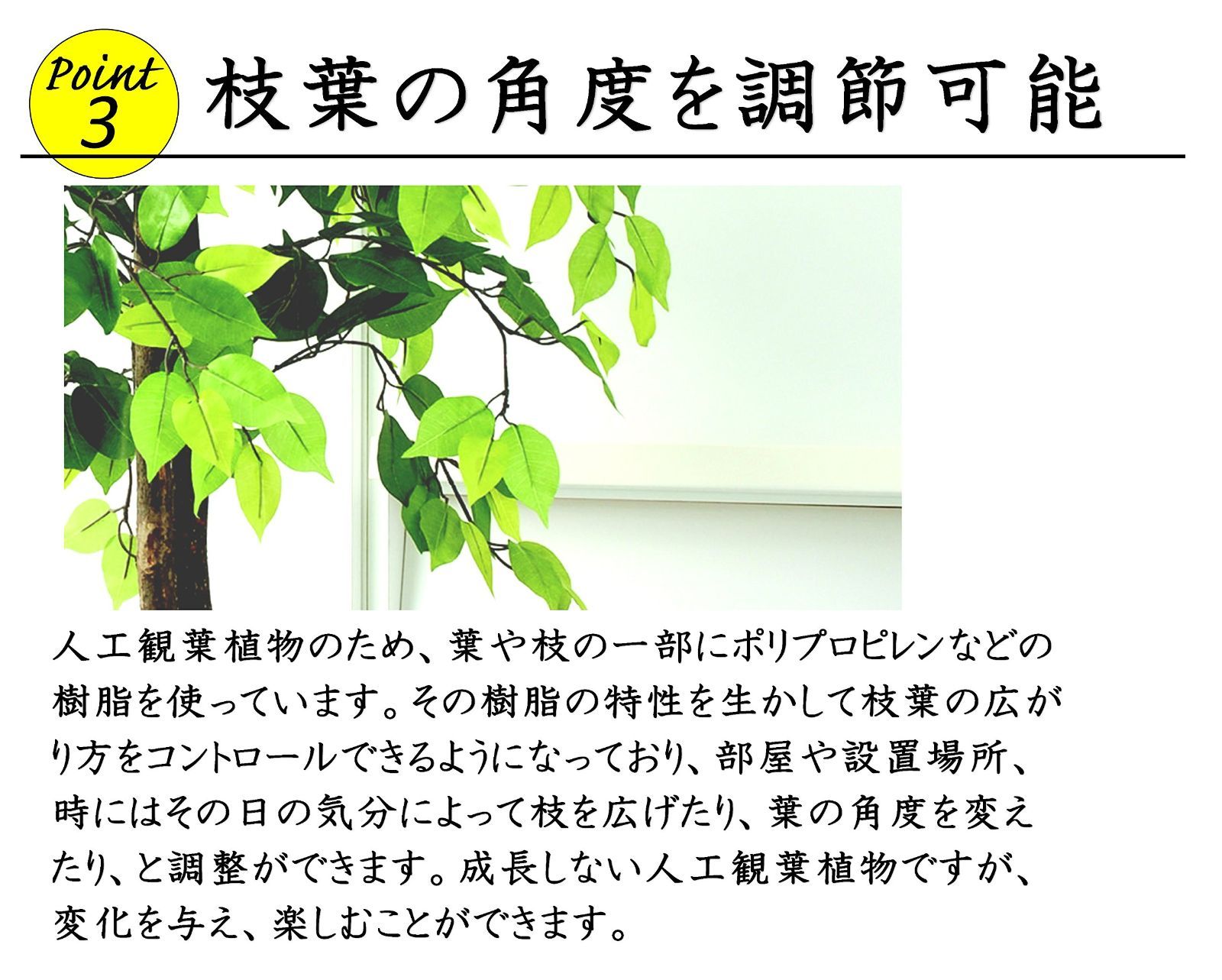 竹カゴ付き