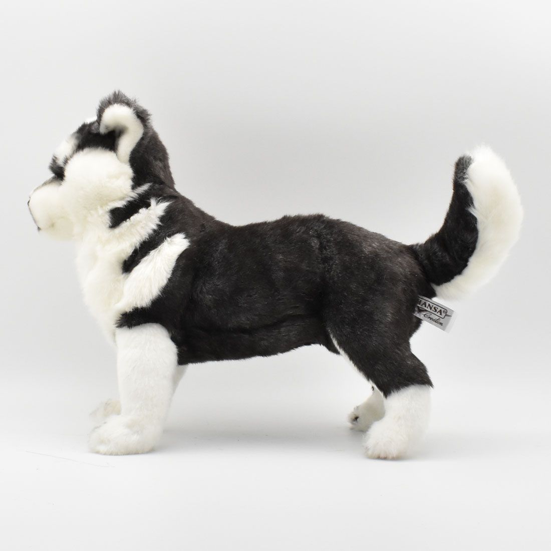 HANSA BH7512 シベリアン・ハスキー(仔) 43 HUSKY PUPPY STANDING 43cm