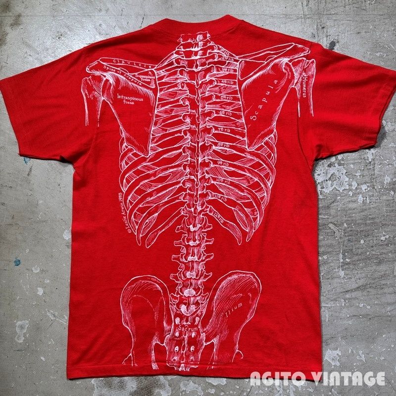 leslie arwin 標本スウェット leslie arwin 標本 スウェット