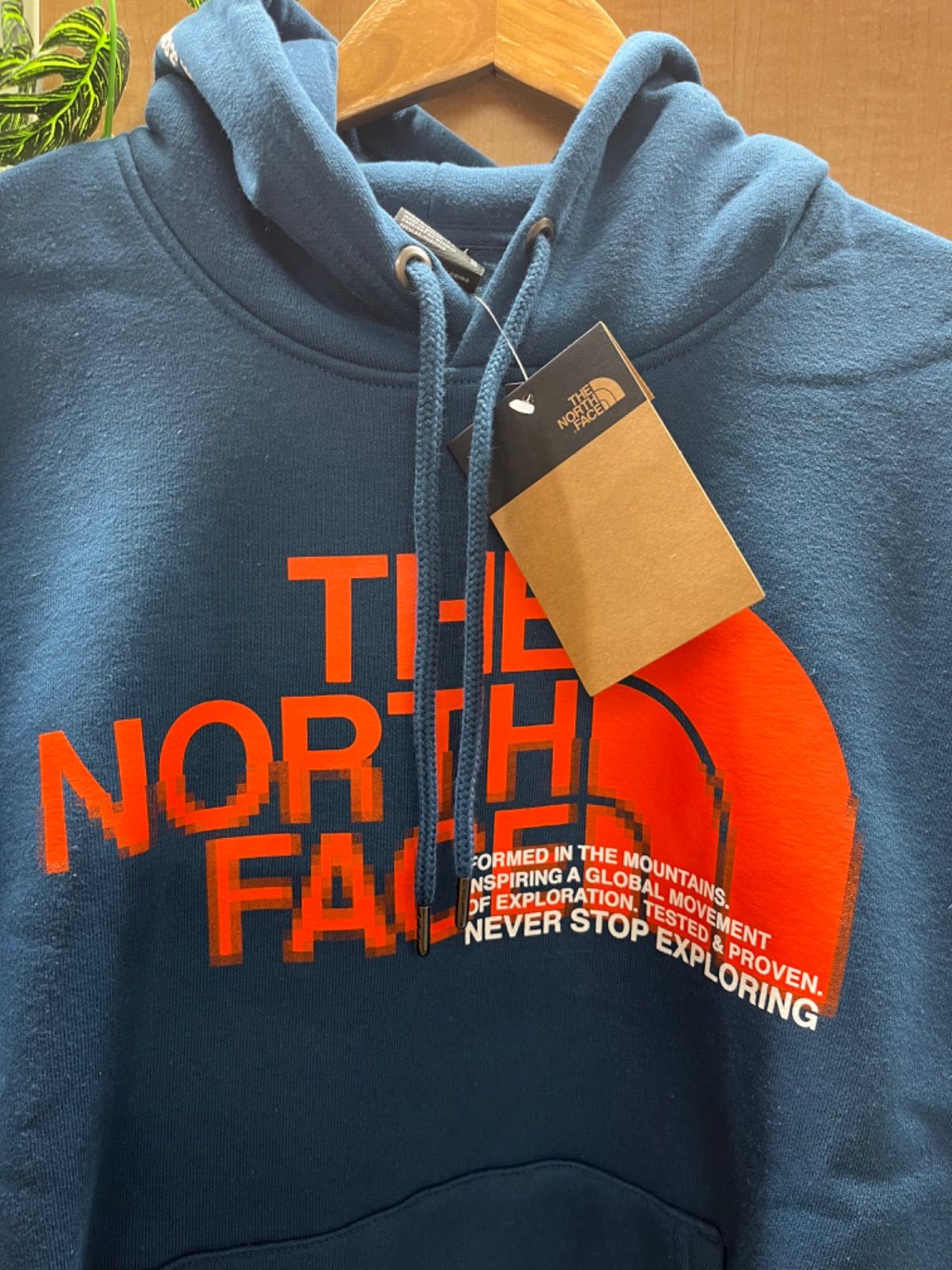 THE NORTH FACE 裏起毛 フーディー パーカー NF0A5GEOパッケージ ...