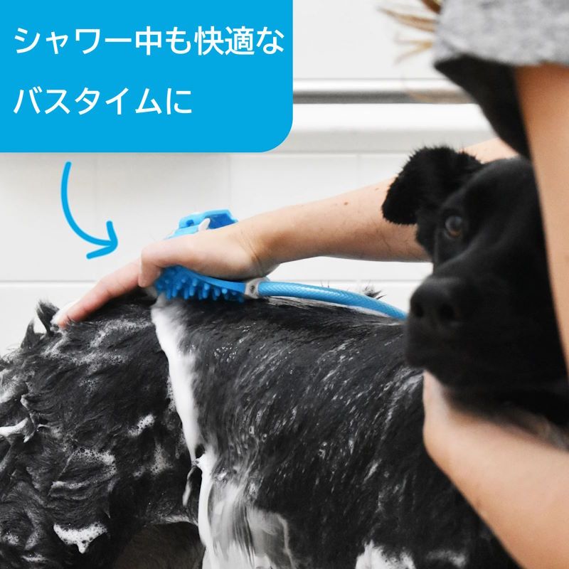 小型犬