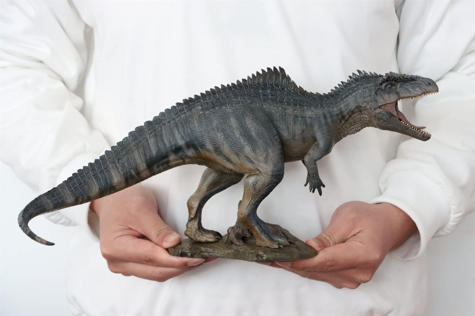PNSO ギガノトサウルスとカルカロドントサウルス - 肉食の系譜