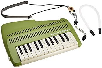 [Used] SUZUKI Suzuki keyboard recorder Andes 25F keyboard recorder that can play flute sounds and chords even though it's a keyboard instrument green