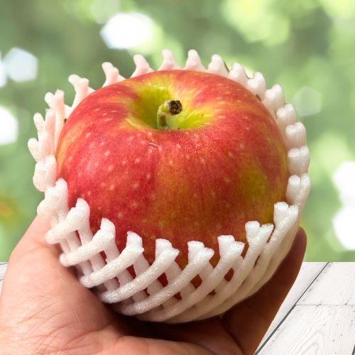 ≫ アップルパイ