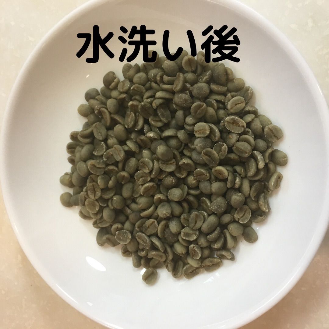 自家焙煎 ケニア ピンクフラミンゴ 400g 豆又は粉 - メルカリ