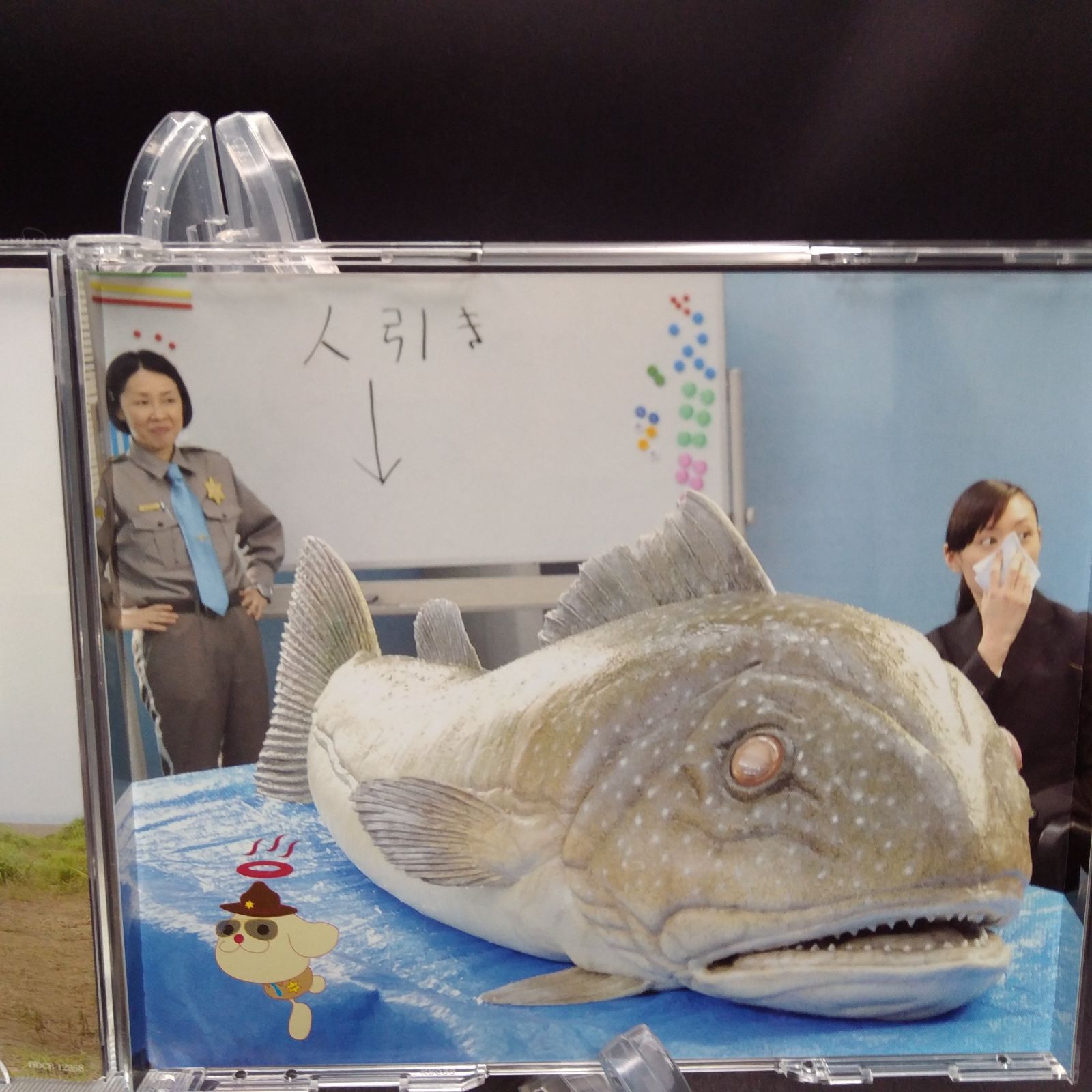 テレビ朝日金曜ナイトドラマ