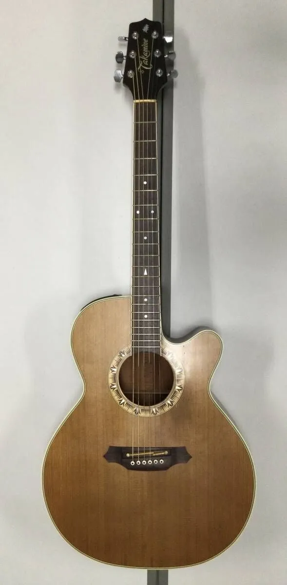 タカミネ　Takamine エレアコ NPT-110　ケース付き　07c03 タカミネ Takamine エレアコ NPT-110 ケース付き 07c03
