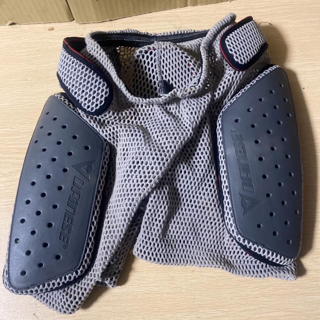 dainese タイネーゼ バックプロテクター スノーボード バイク