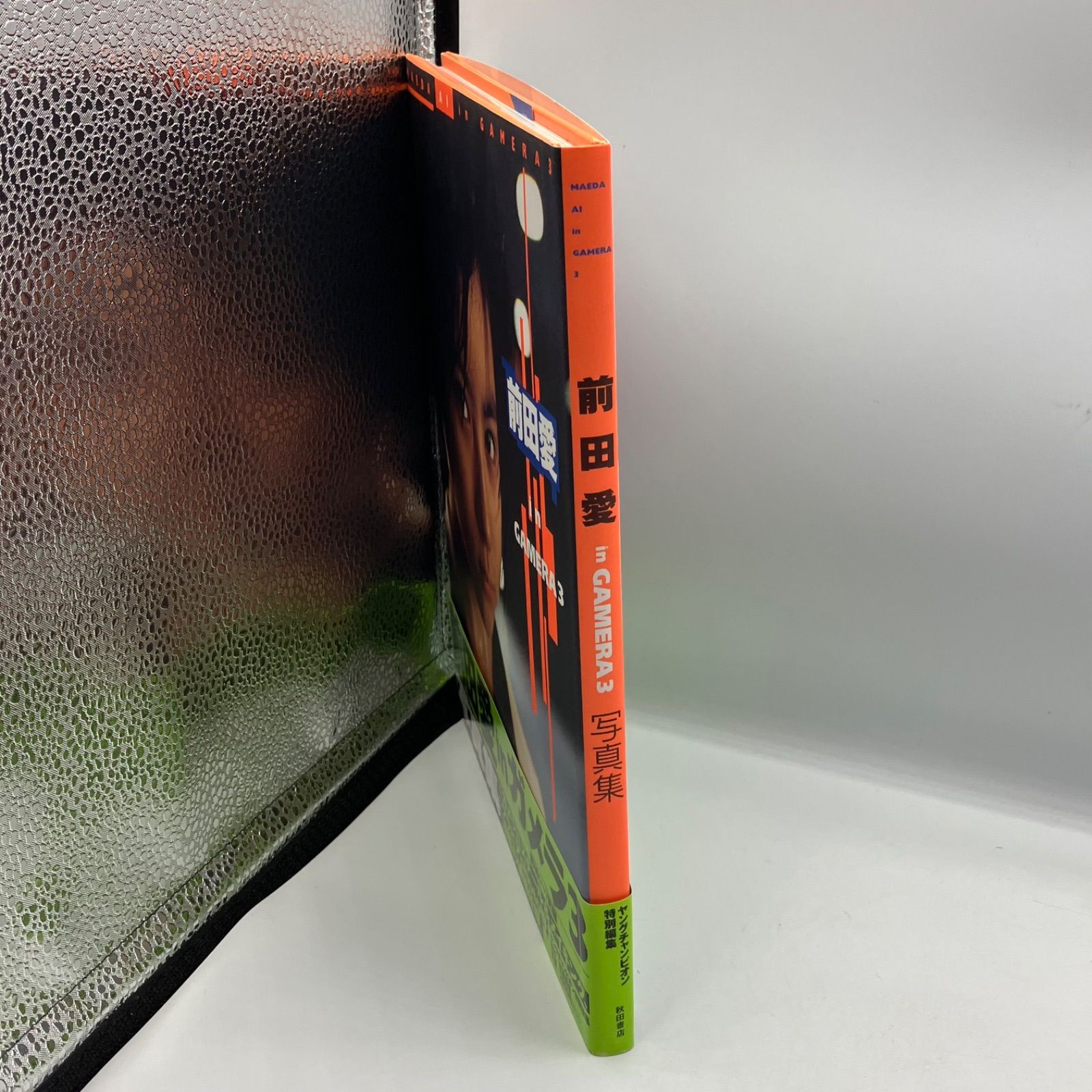 カード ガメラ3 比良坂綾奈 with 前田愛 ver. 非売品　その他まとめ uo74 カード ガメラ3 比良坂綾奈 with 前田愛 ver. 非売品 金箔押し