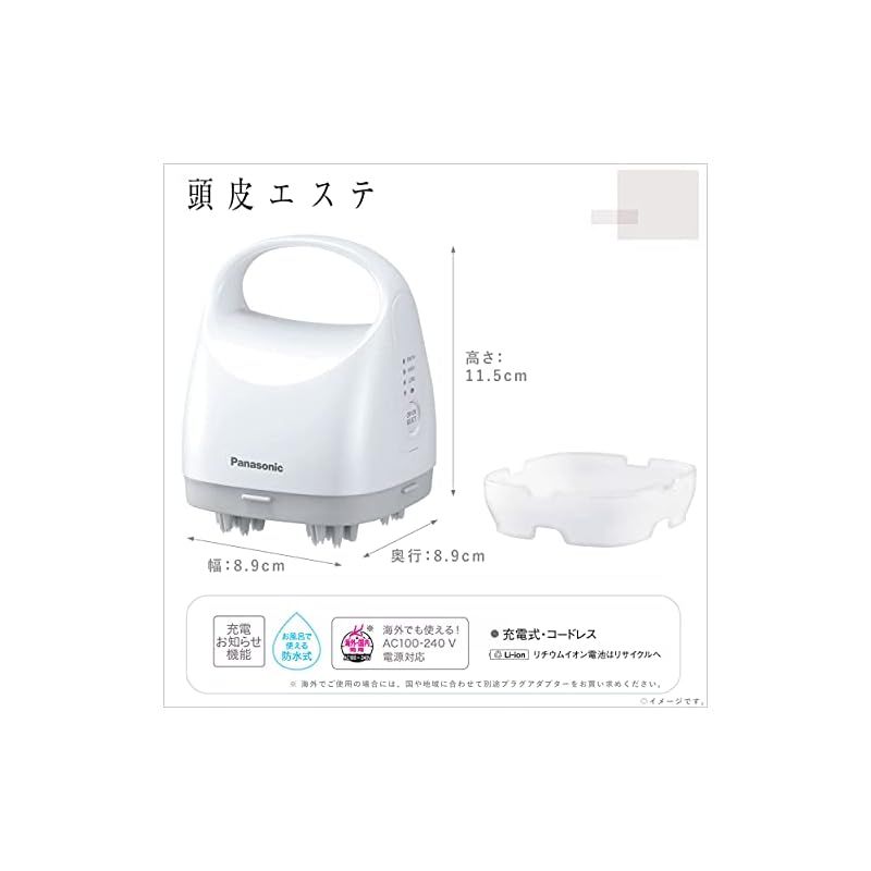 皮脂洗浄タイプ