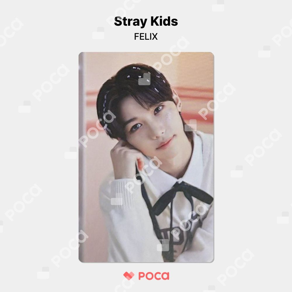【トレカ付き】スキズ　シーグリ Stray Kids スキズ シーグリ2024 トレカ 8枚 コンプセット