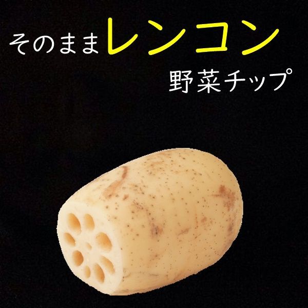 レンコンチップス たっぷりサイズ150g うす塩味 堅あげタイプ レンコンそのまま野菜チップス メール便発送