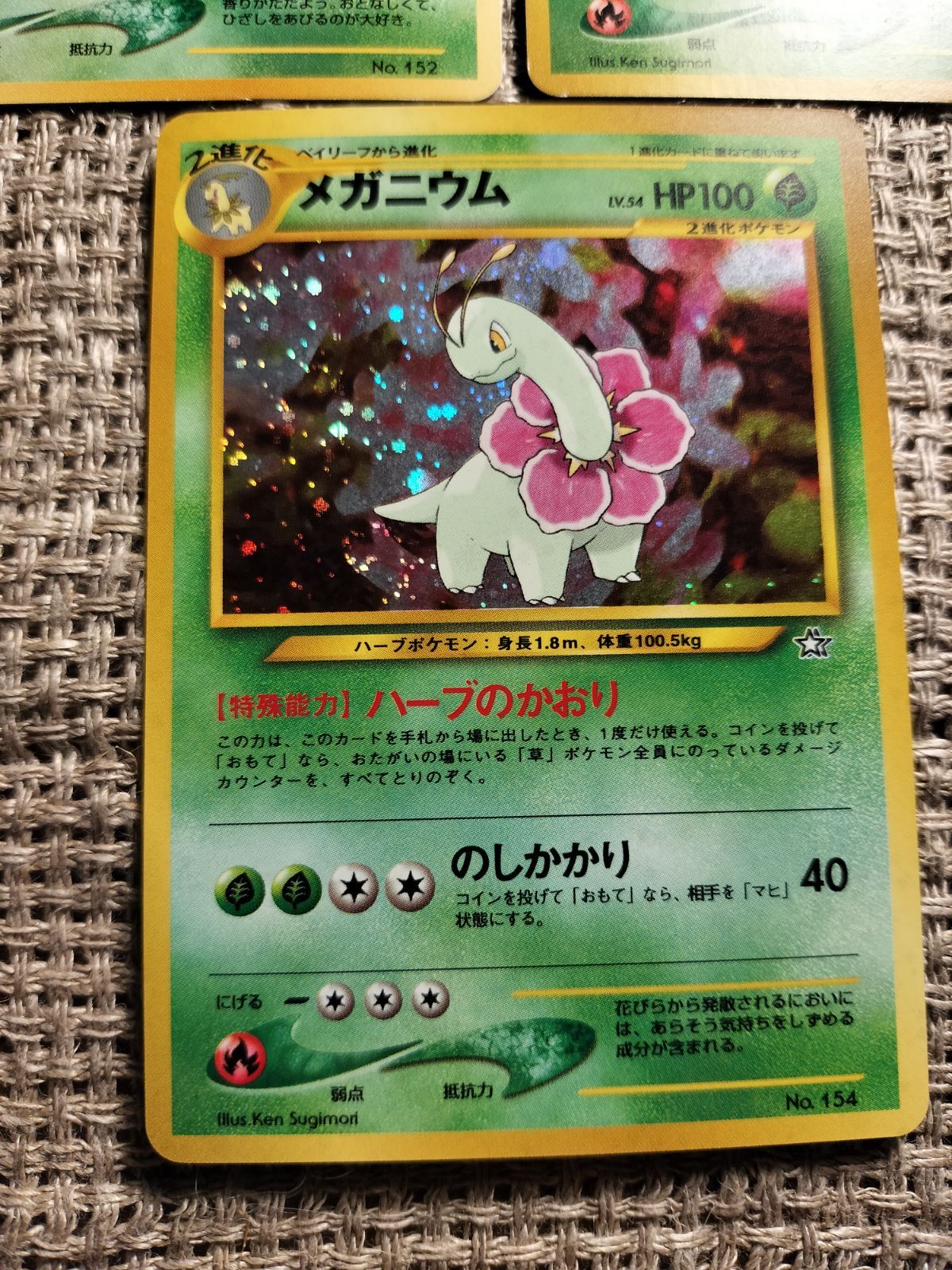 NO031_メガニウム・ベイリーフ・チコリータ_ポケモンカード_旧裏