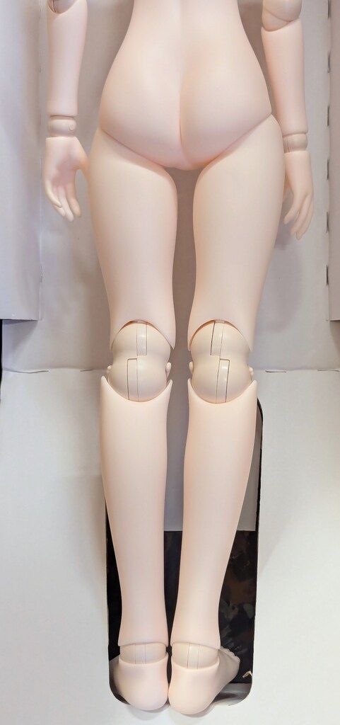 アゾン Iris Collect petit あんな Wonder Fraulein Eternal Princess アゾンダイレクトストア販売ver WWW_STEELWINDOWSANDDOORS_COM