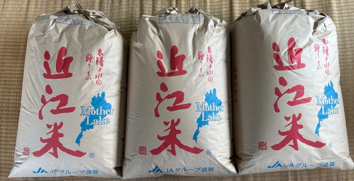 令和５年産 コシヒカリ近江米100％ 減農薬 玄米20kg 精米無料！！ - 米