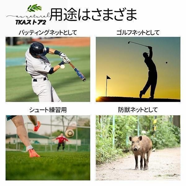 バスケ サッカー