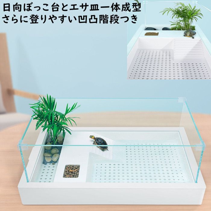 ガラス