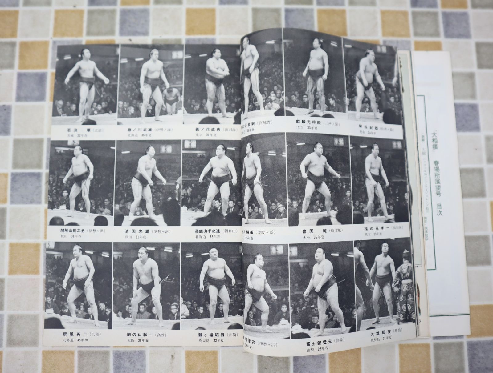 ∵ 昭和42年 3月10日 発行｜大相撲 春場所展望号 1967年 3月号｜ P106 