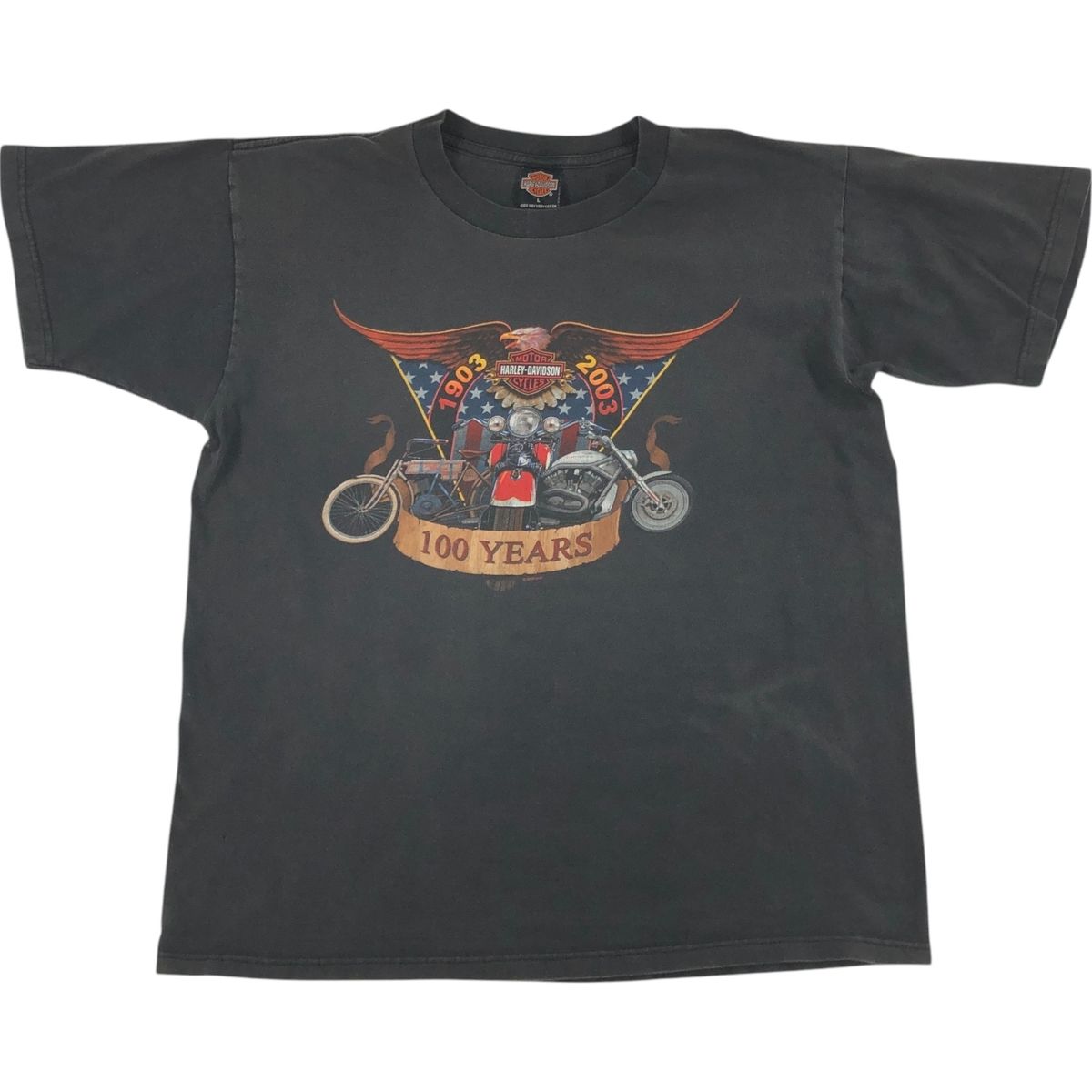 古着 00年代 ハーレーダビッドソン Harley-Davidson 鷲柄 イーグル柄 モーターサイクル バイクTシャツ メンズL相当|eaa538915