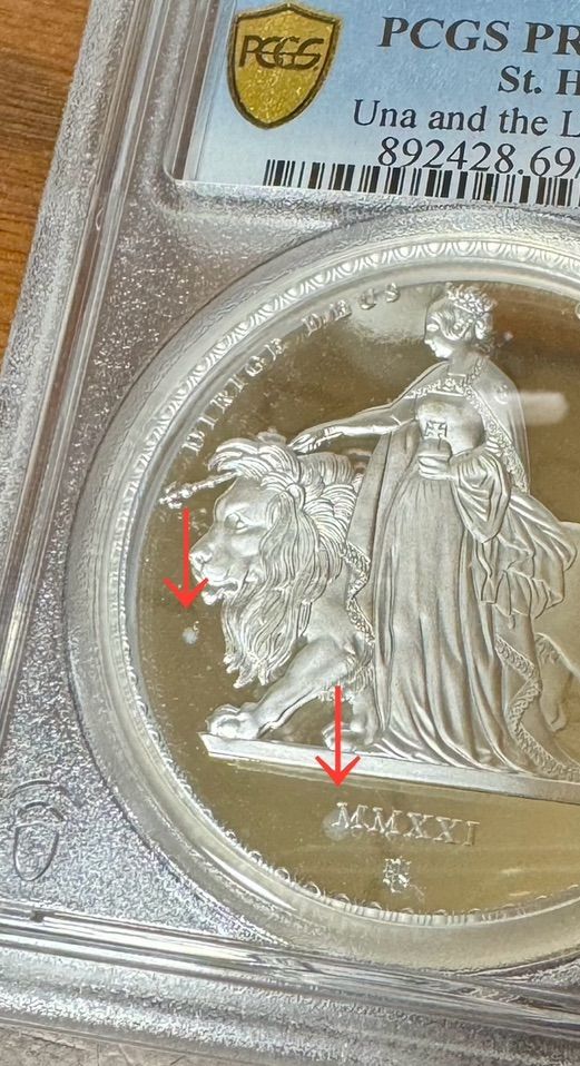 最高鑑定】2021 ウナ ライオン 銀貨 マスターピース版 pcgs - メルカリ