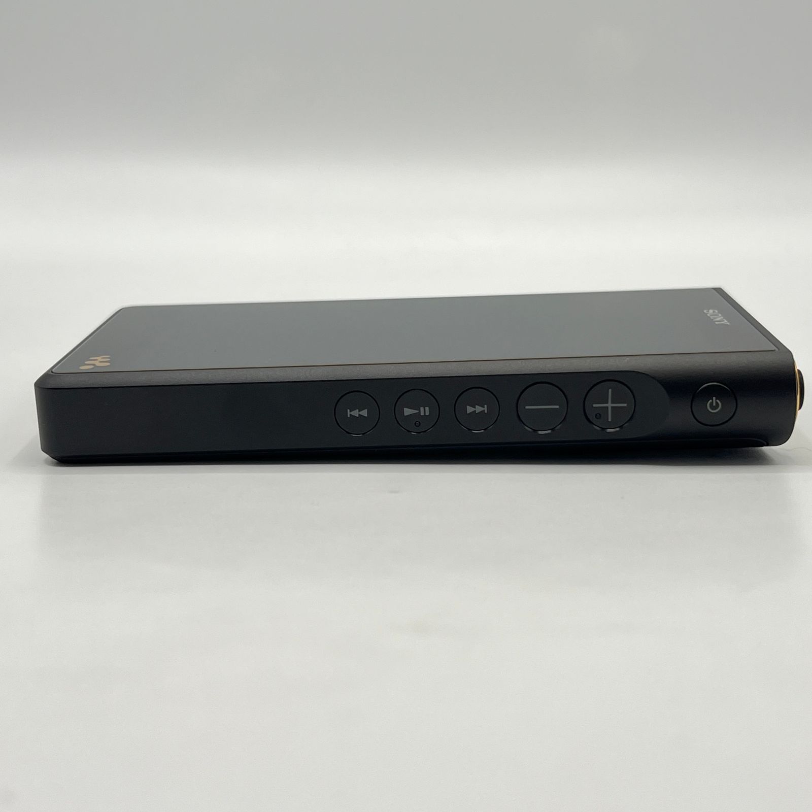 WALKMAN NW-WM1AM2