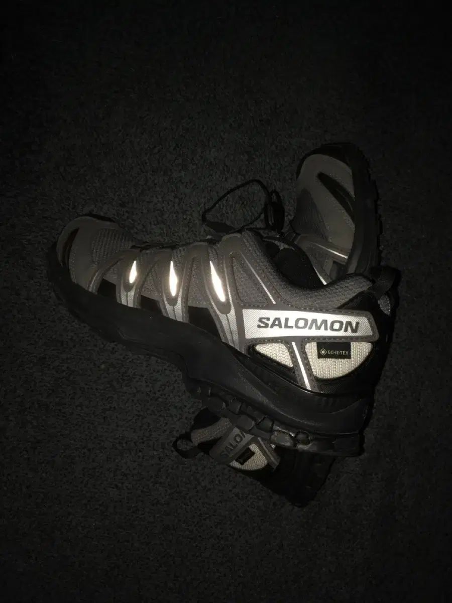 サロモン XA PRO 3D GTX シルバー クラウド