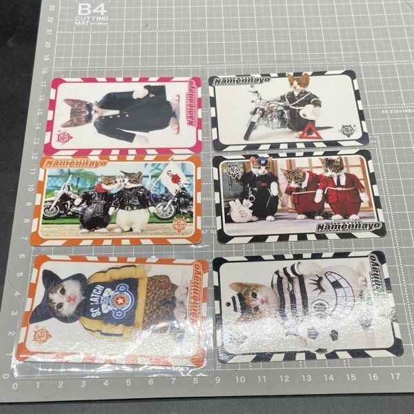 ⭐️希少品⭐️なめ猫免状等 Z197 なめねこ なめ猫 なめんなよ 免許証 ニャン太郎 トラ次郎