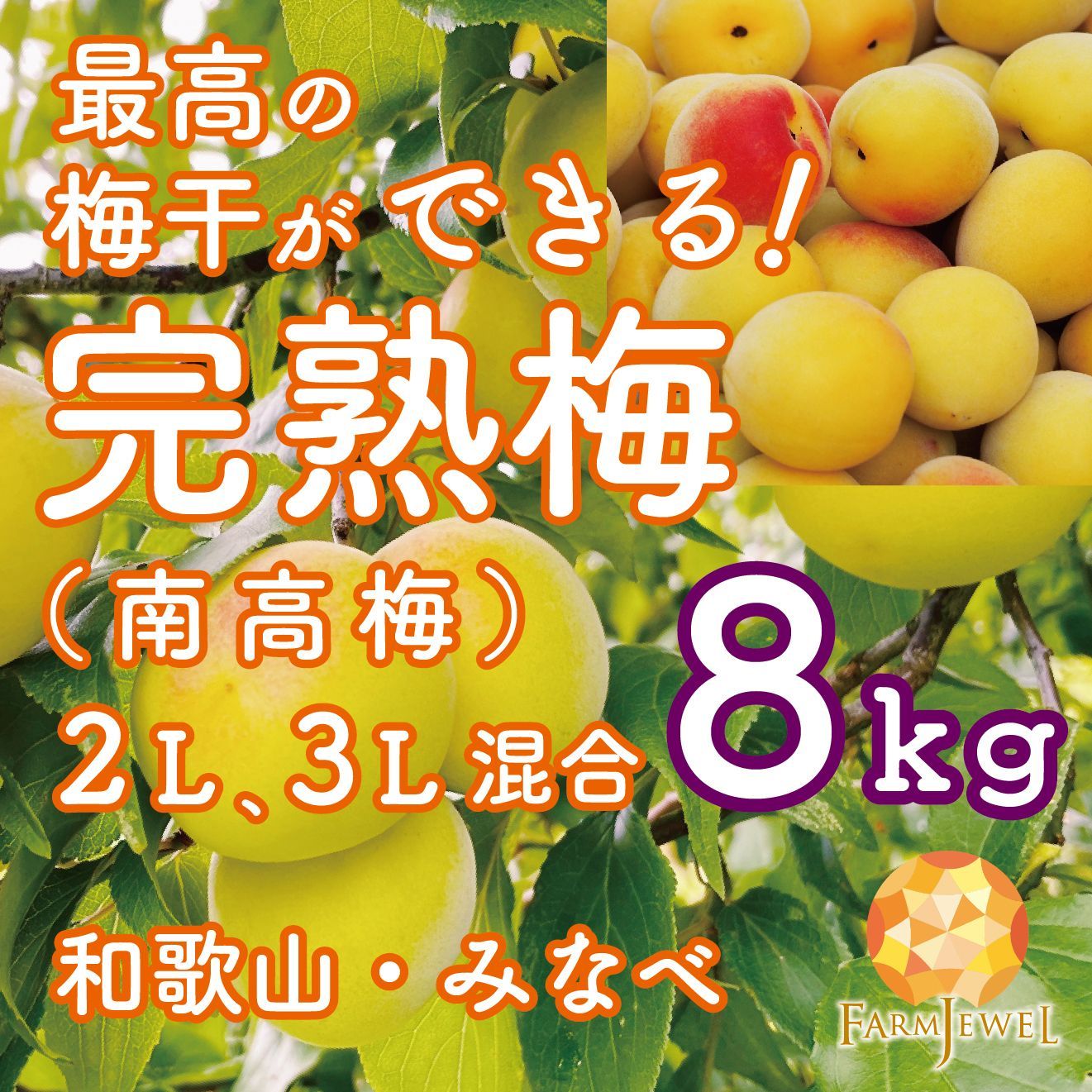 今ならまだ間に合う!!!] 完熟梅 南高梅 和歌山県 みなべ産 8kg 2L  