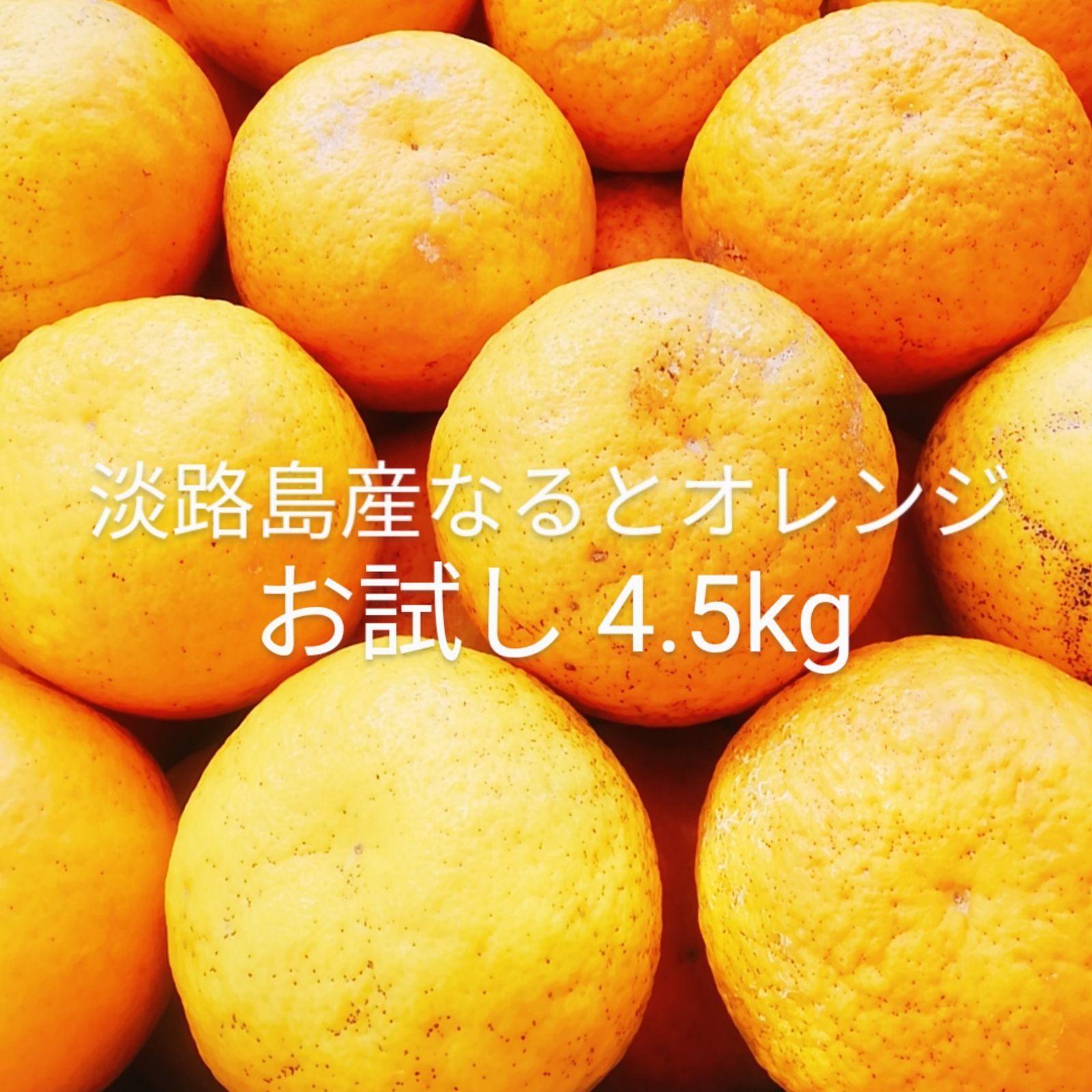 淡路島 なると オレンジ