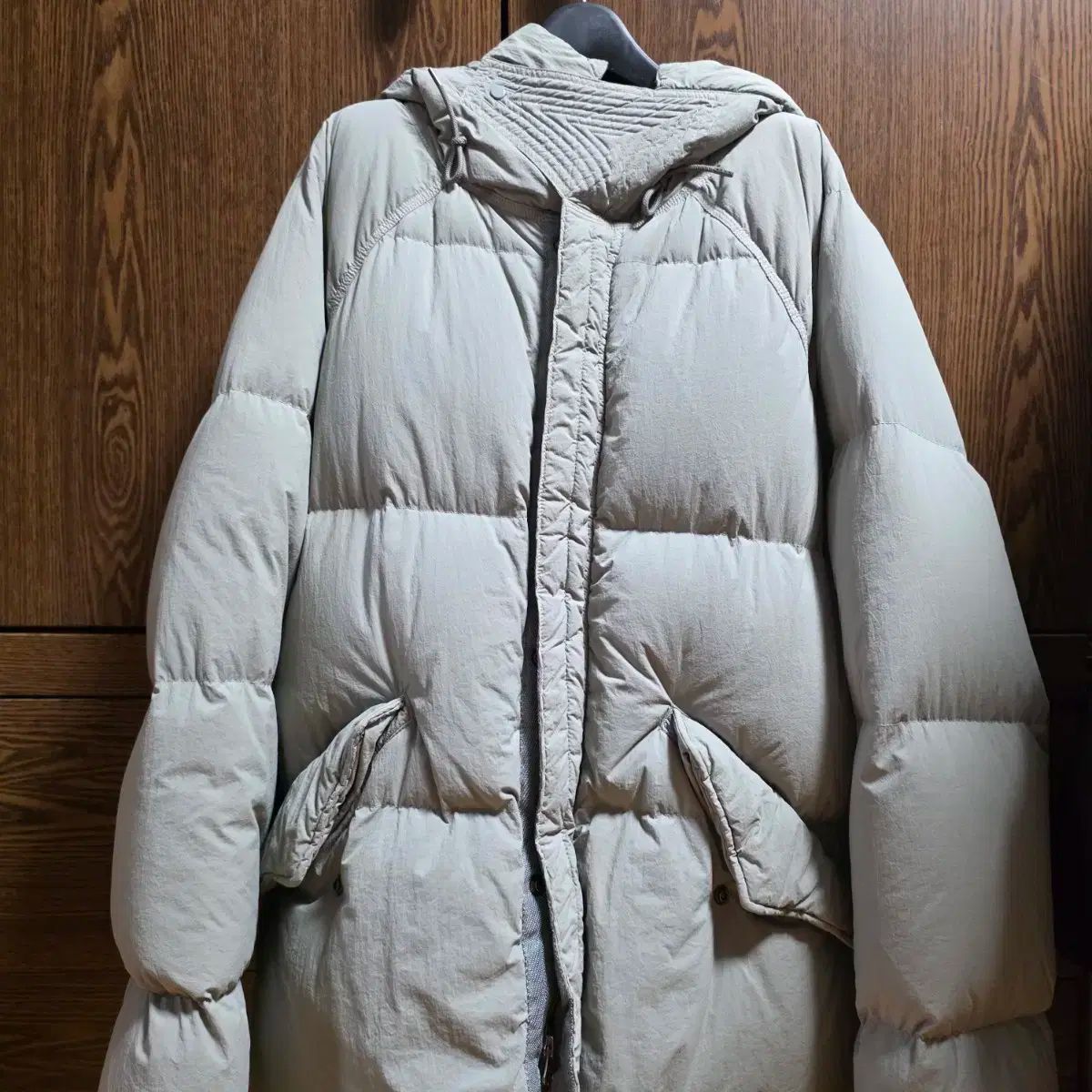 ピンク貝 コンク貝 貝殻 貝殻オブジェ 貝殻置物 希少 標本 インテリア