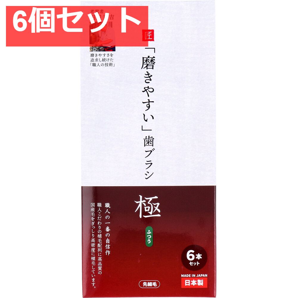 送料無料，得価 磨きやすい歯ブラシ 極 ふつう 先細毛 6本セット LT-53 6個セット まとめ売り 歯ブラシ