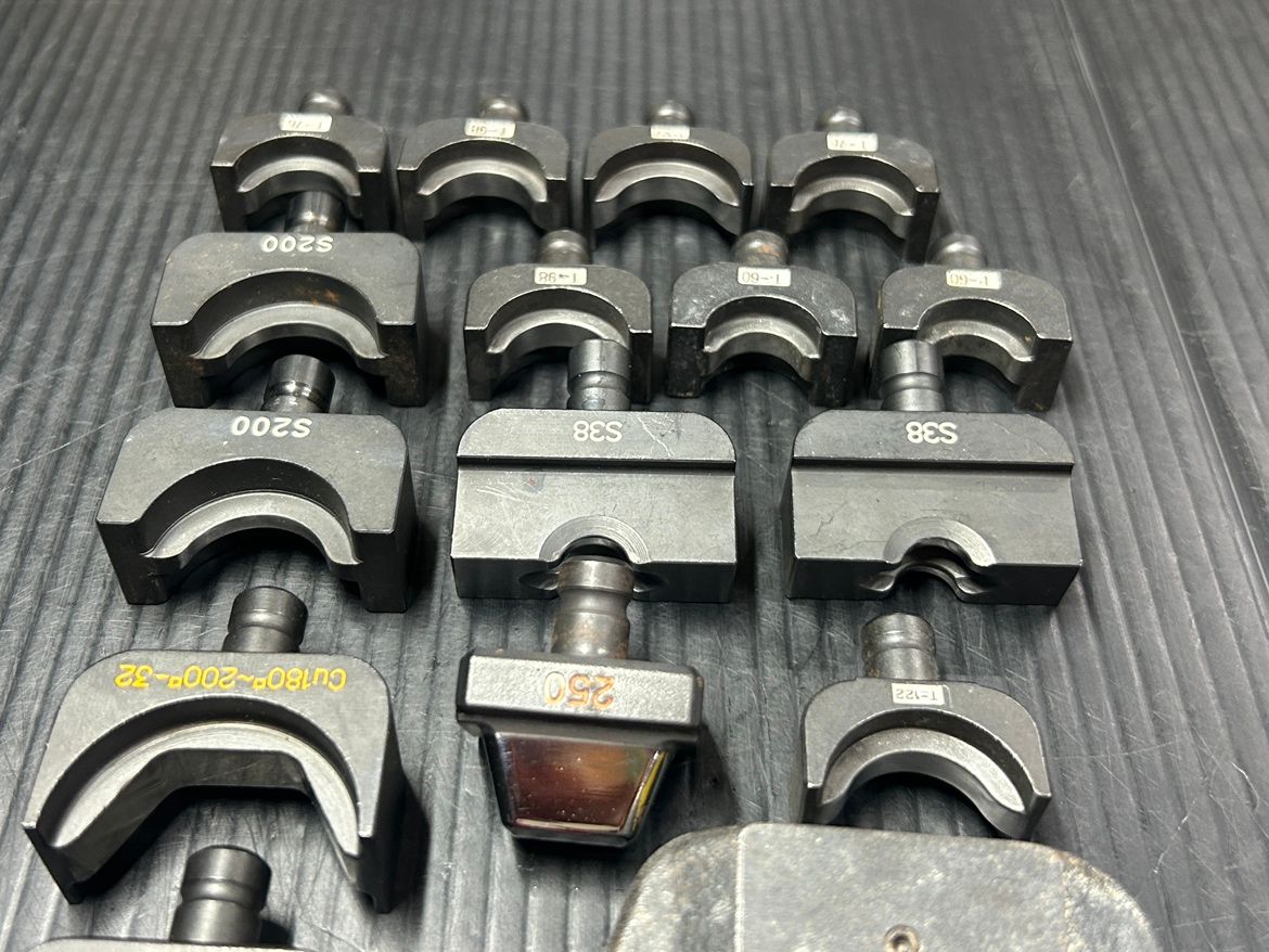 カクタス イズミ