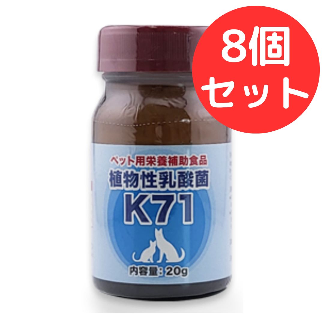 植物性乳酸菌 K-71 20g 8個セット プランシュール