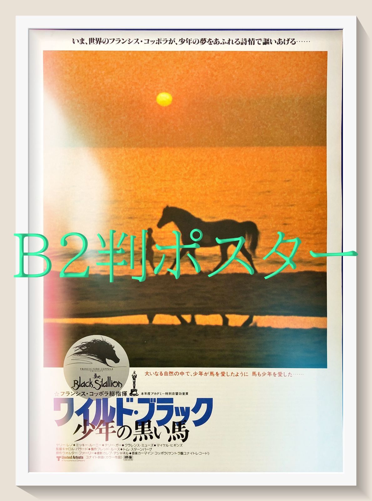 pt『ワイルド・ブラック／少年の黒い馬』映画オリジナルB2判ポスター