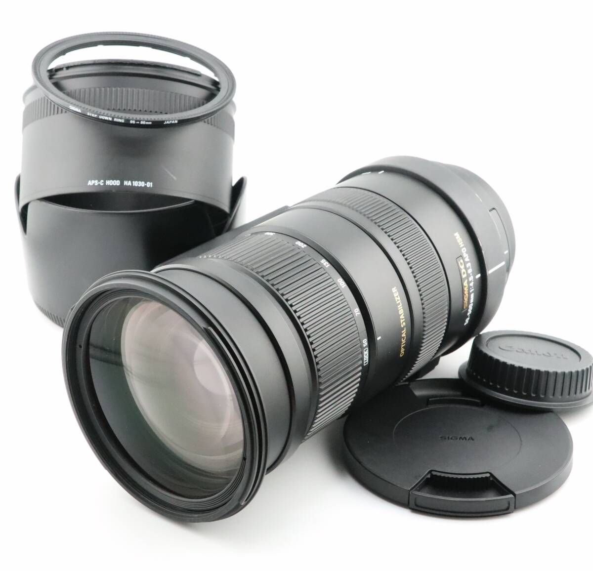 PENTAX用 シグマ DG OS APO 50-500mmf4.5-6.3HSM□極上品□10120 