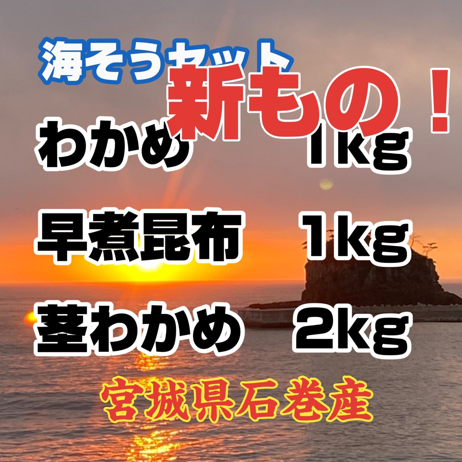 わかめ 早煮昆布 茎わかめ 宮城県石巻産 新もの