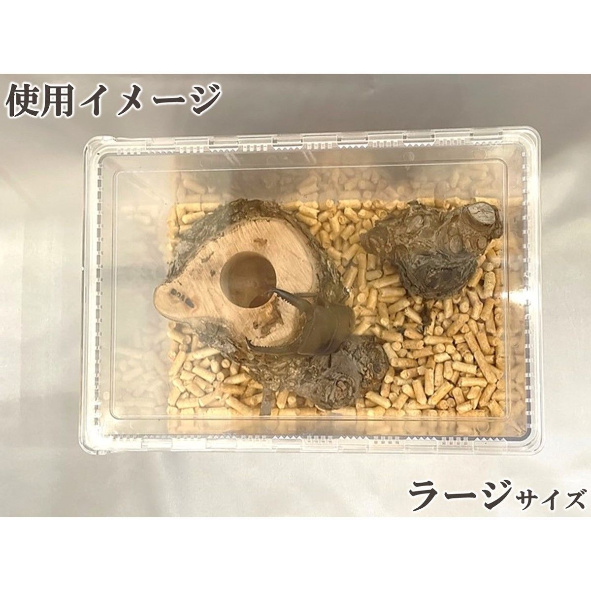 中古クリアスライダー　★32セット★　クワガタ、カブトムシ 中古クリアスライダー ☆32セット☆ クワガタ、カブトムシ