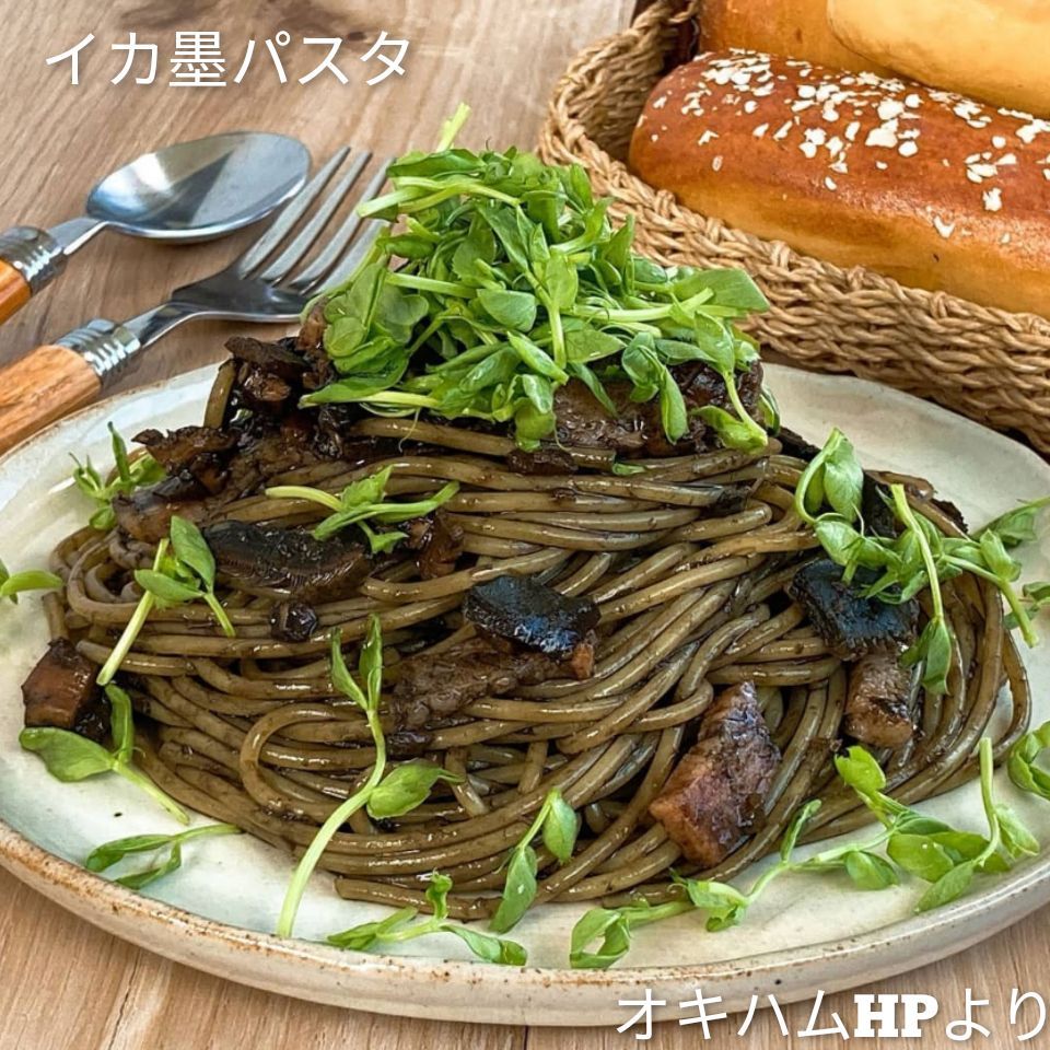 伊江島おっかー自慢のイカ墨じゅーしぃの素 2袋 沖縄県産イカ使用 オキハム