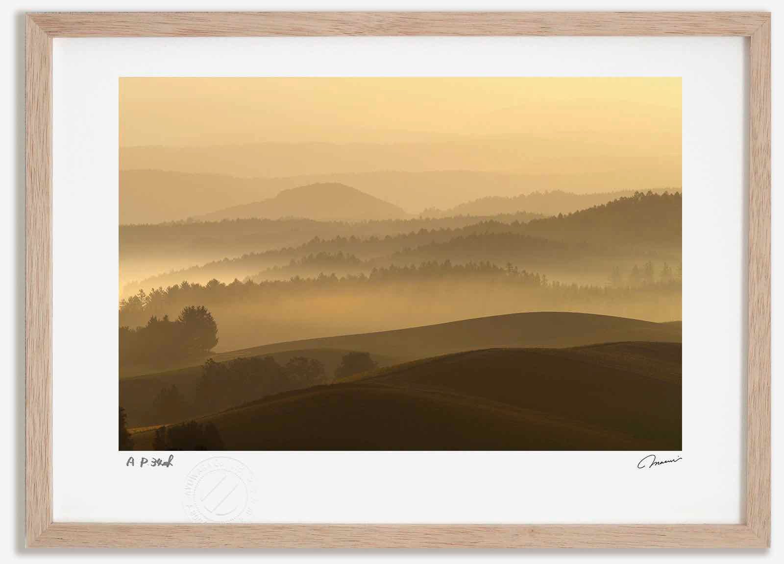 アートフォト 絵画 朝の丘3 高橋真澄/インテリア 額入り 額装込 風景画 油絵 ポスター アート アートパネル リビング 玄関 プレゼント モダン アートフレーム 飾る Mサイズ おしゃれ 壁掛け 