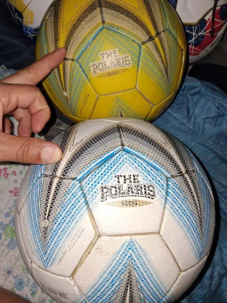 スターサッカーボール 5 サブパラグラフ 2 犬