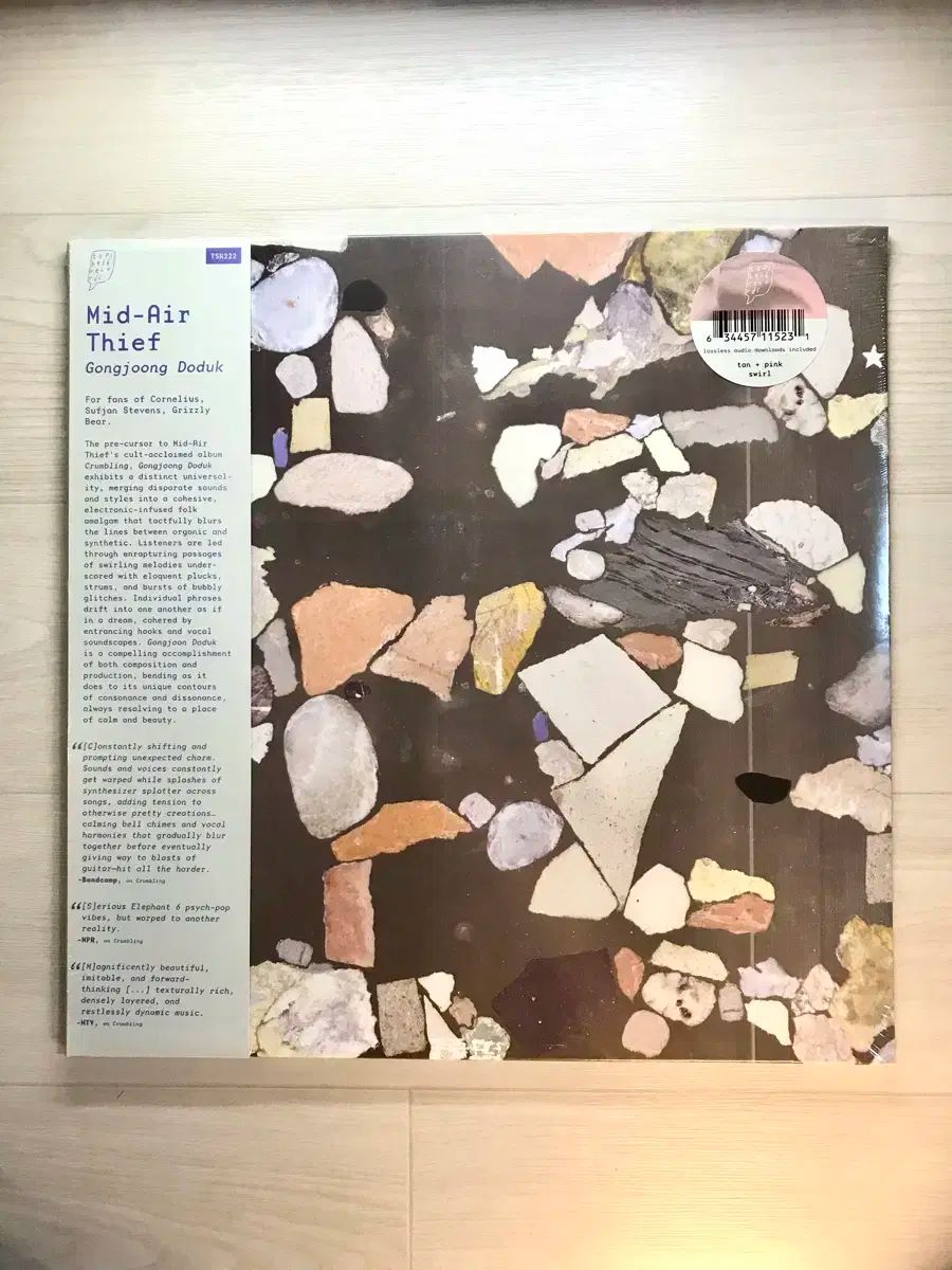 空中泥棒 Mid ー Air Thief 公共道徳 LP