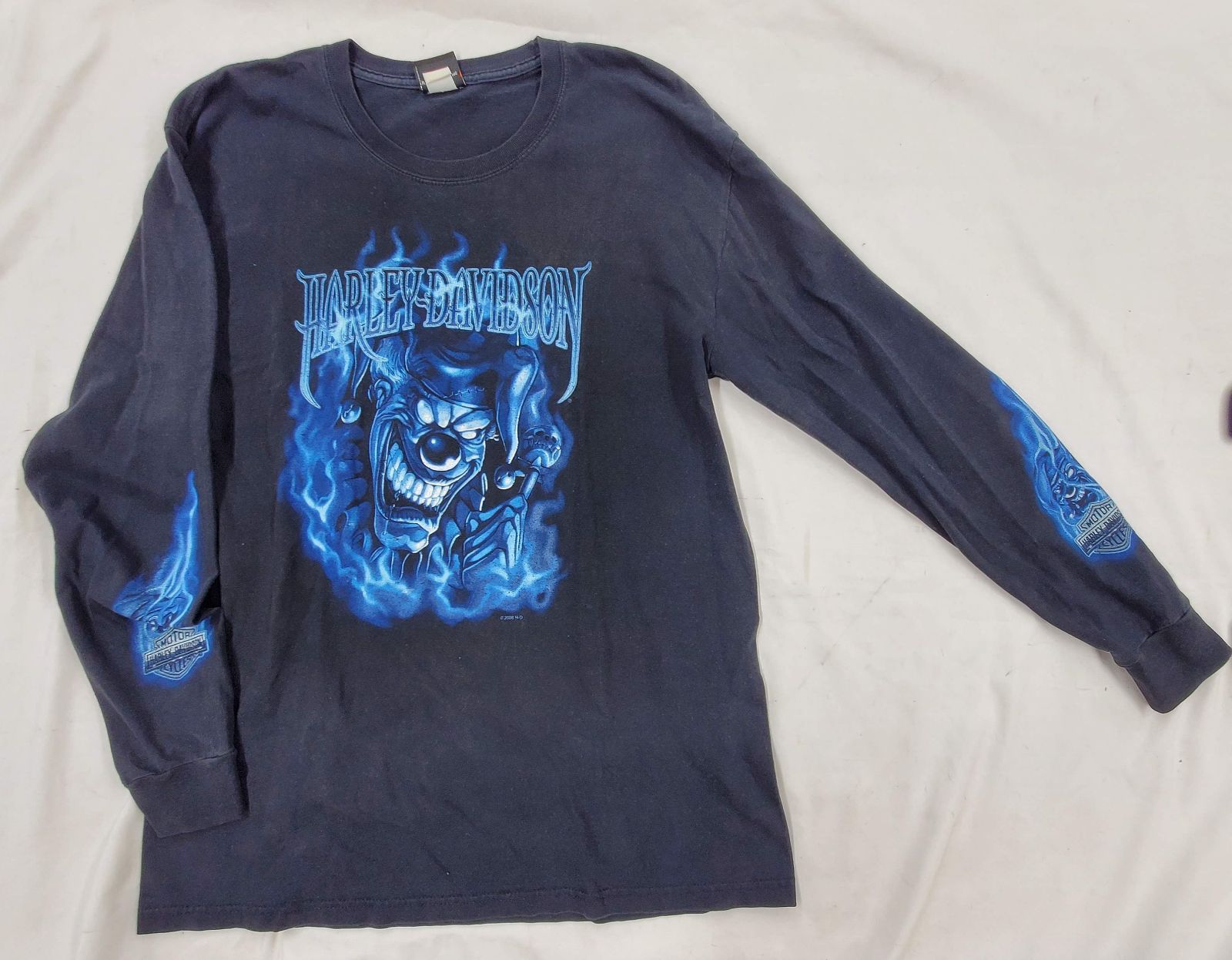 HARLEY DAVIDSON ブルーフレイム ロンT Blue Flame ブルーフレイム サンダー ハーレーダビッドソン ロン