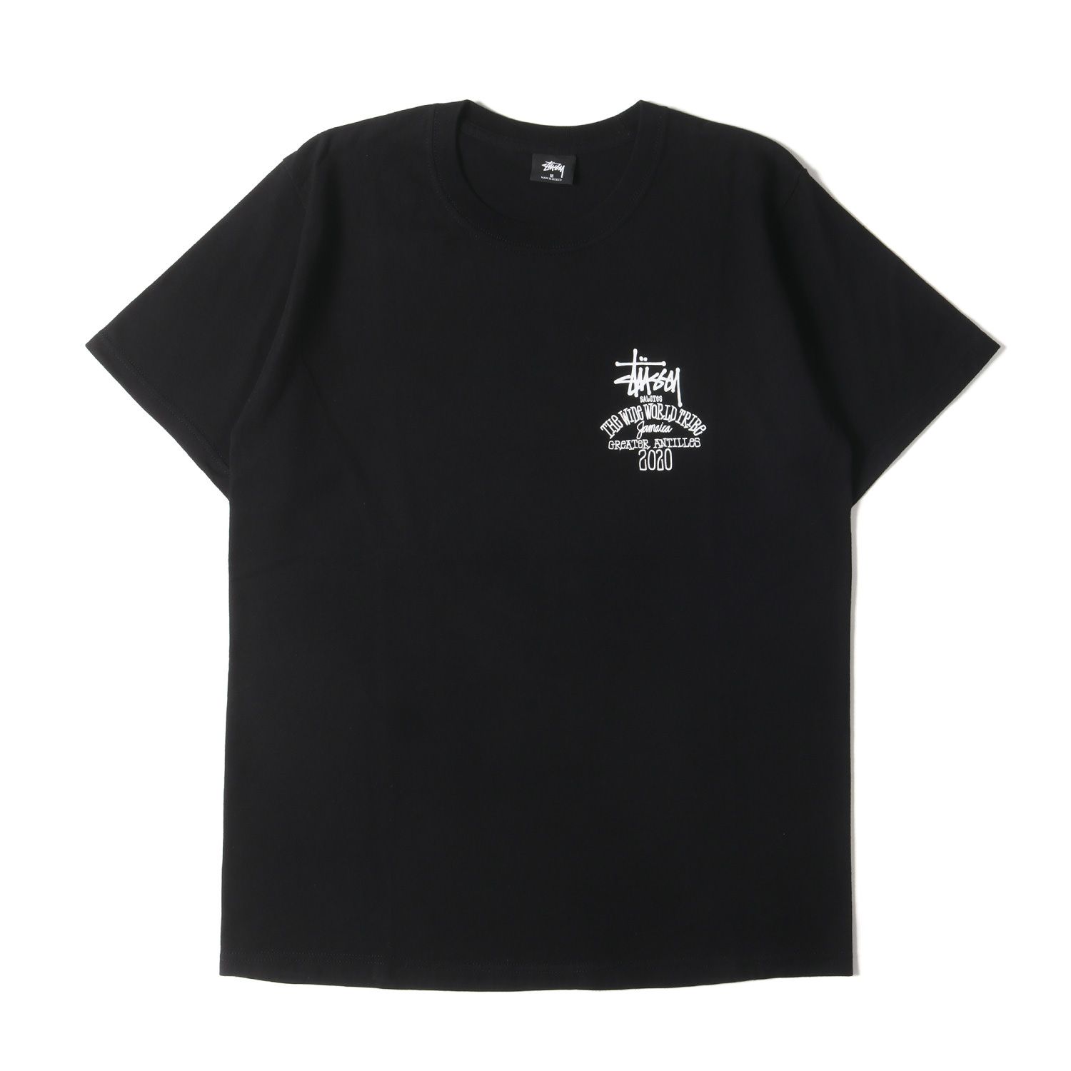 STUSSY ステューシー Tシャツ サイズ:M 20SS ワールドトライブ 