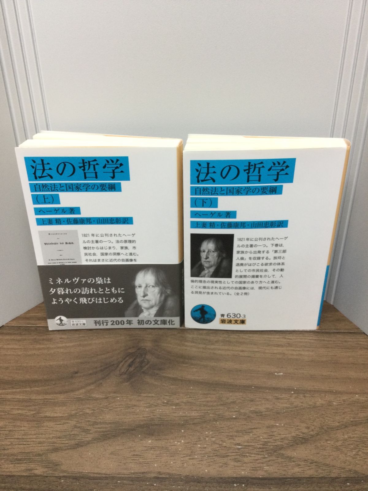 法の哲学: 自然法と国家学の要綱 上下巻セット (岩波文庫) ヘーゲル 著