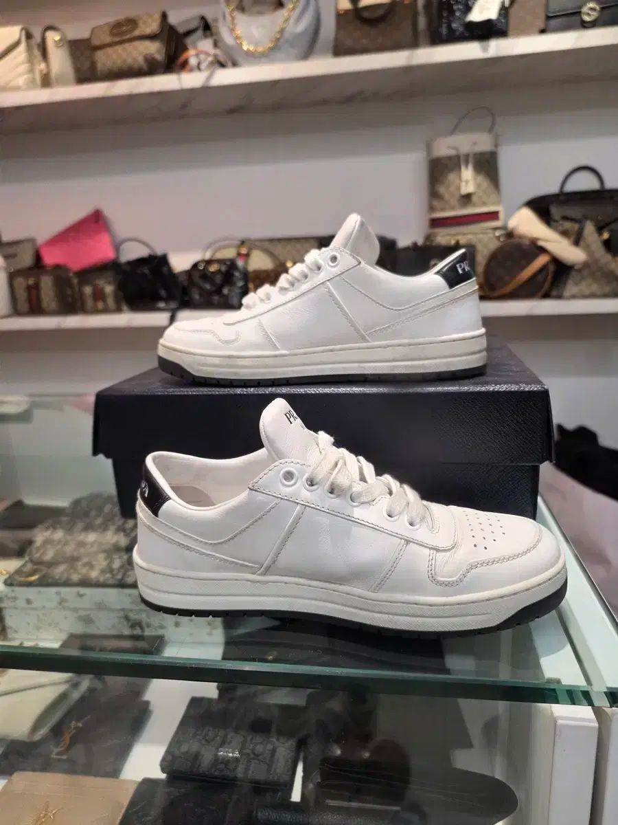 35 5 ） PRADA(プラダ) ダウンタウン 三角ロゴ スニーカーズ 白