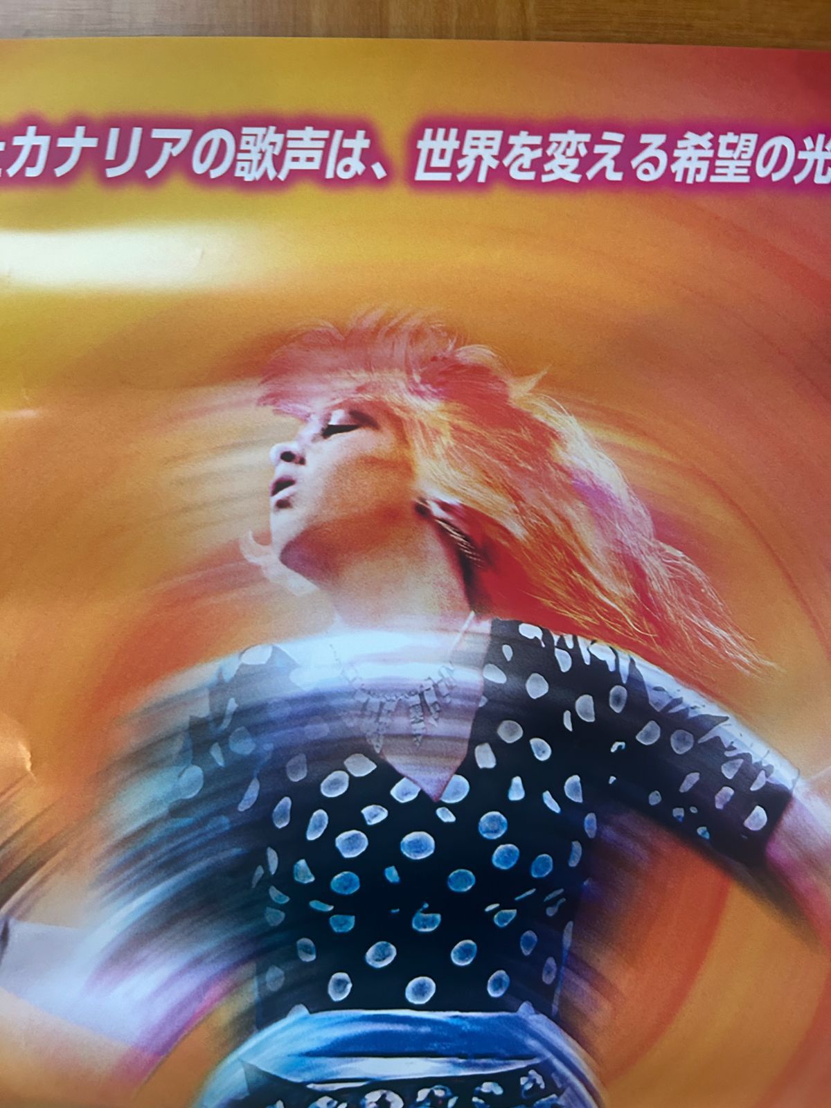 ローレンサイ　ポスター 71gvRPYE-XL._UF350,350_QL80_.jpg