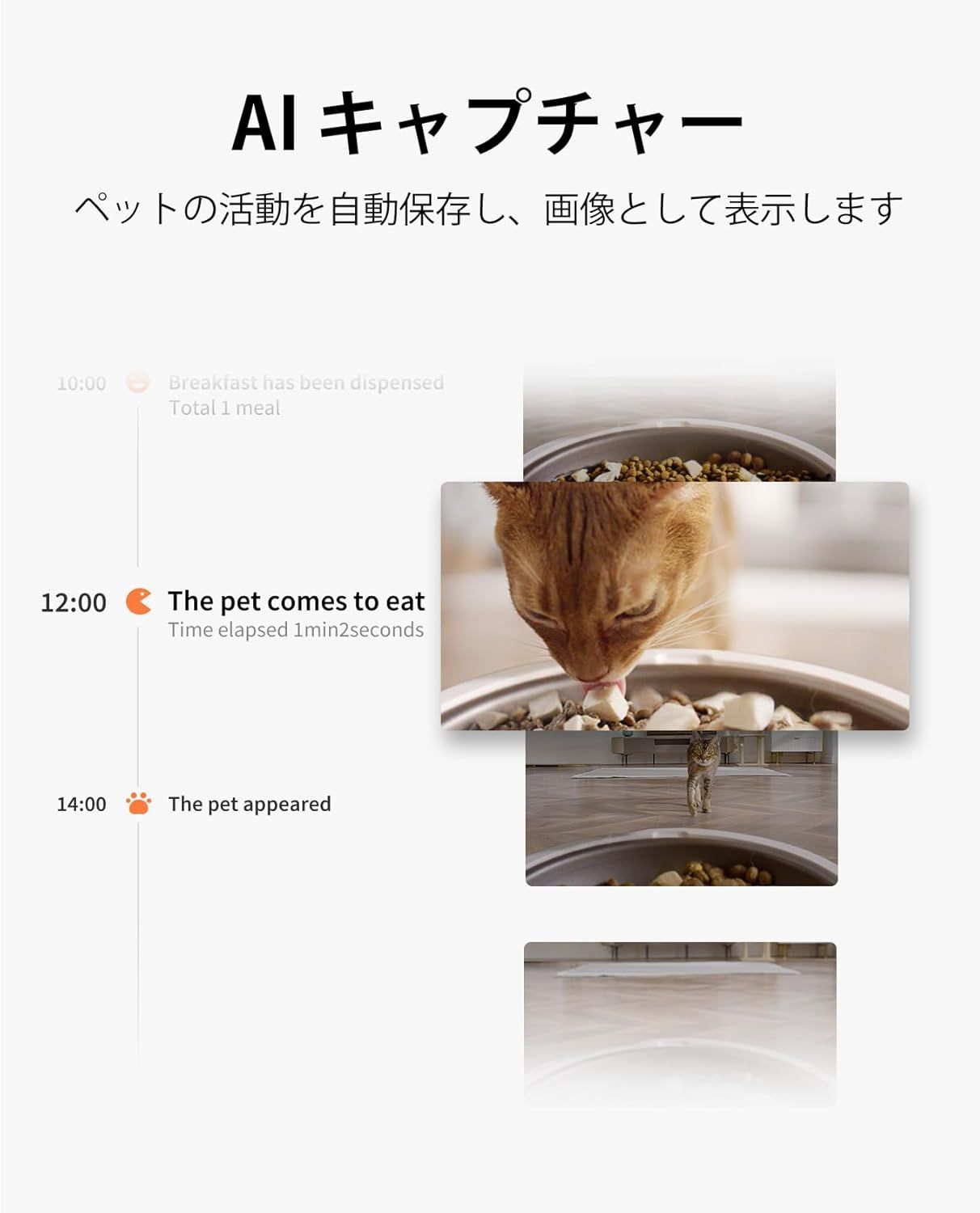 PETKIT 自動給餌器 猫 中小型犬用 タンク二層化 カメラ付き