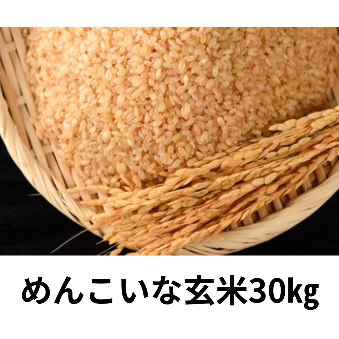 秋田県産めんこいな玄米 R6年度産30㎏ 精米料無料】令和