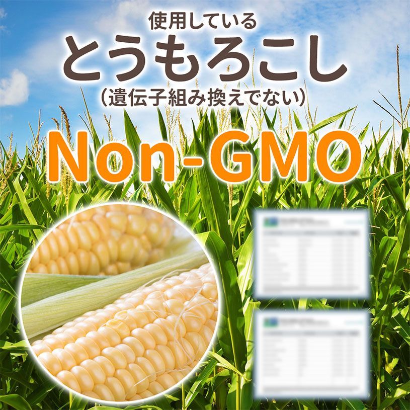 【NICHIGA／ニチガ公式】天然甘味料 エリスリトール 1kg カロリーゼロ 甘味料 天然由来 希少糖 糖質制限 [01]